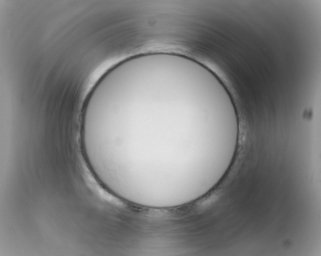 X0000113121094200908281037