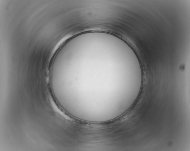 X0000113121095200908281037