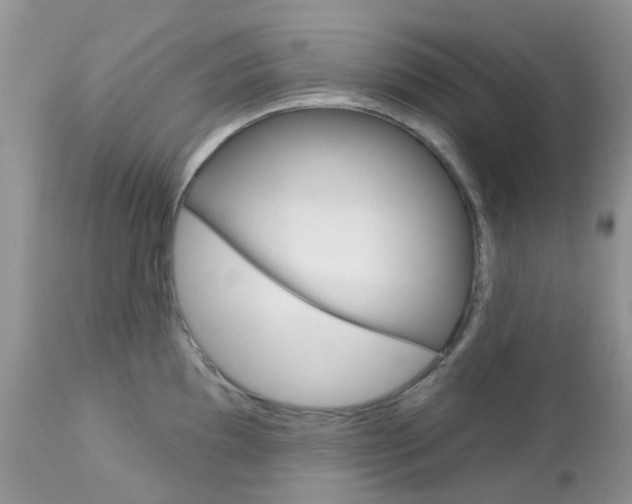 X0000113121097200908281037