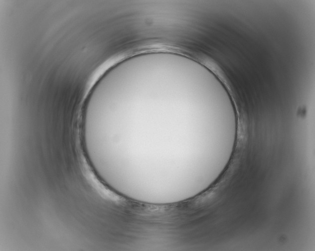 X0000113121098200908281037