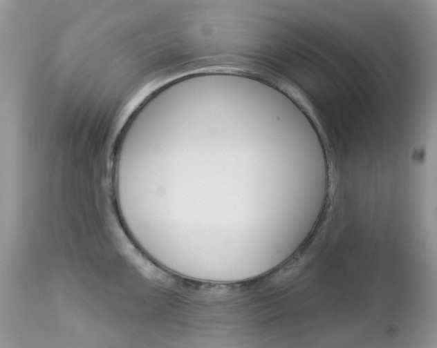 X0000113121099200908281036