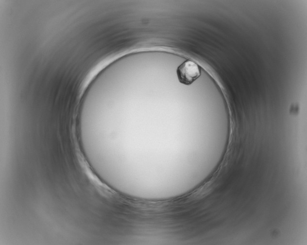 X0000113121101200908281036