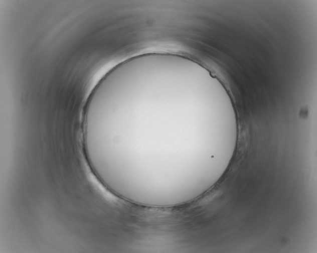 X0000113121103200908281036