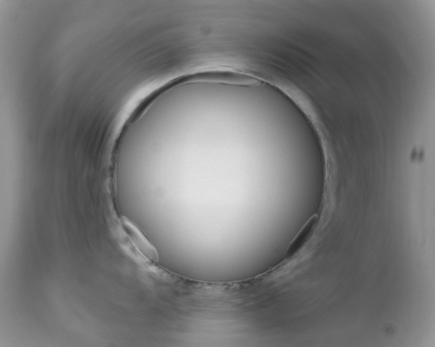 X0000113121104200908281036