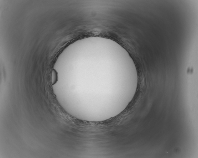 X0000113121105200908281036