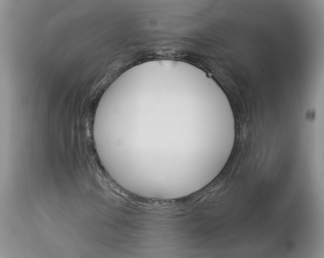 X0000113121106200908281036