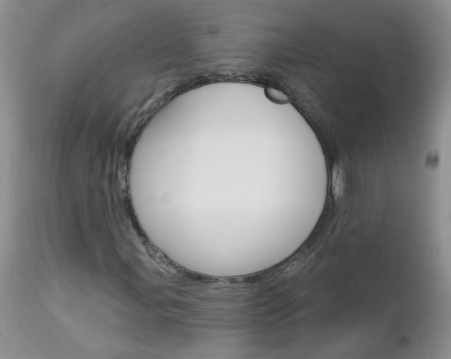 X0000113121107200908281036
