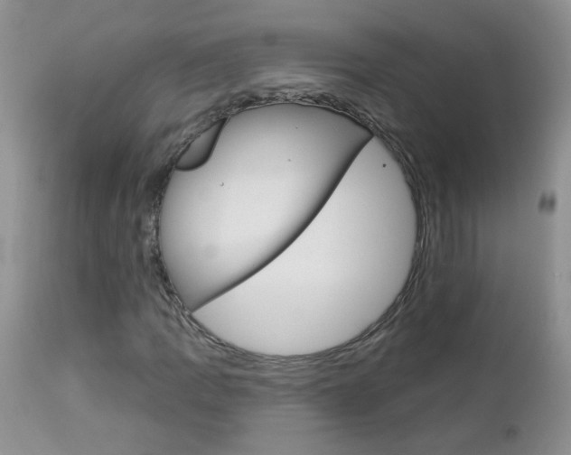 X0000113121109200908281036