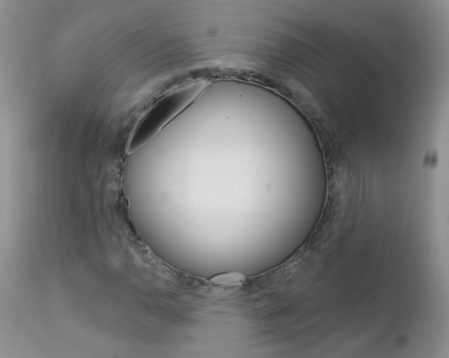 X0000113121110200908281036