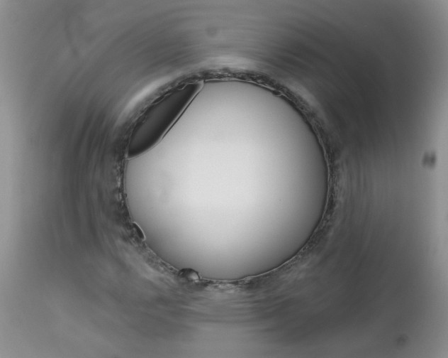 X0000113121112200908281036