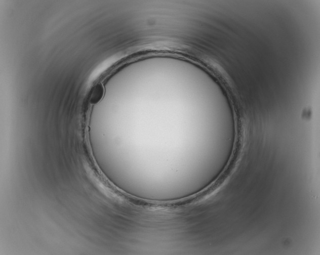 X0000113121114200908281036