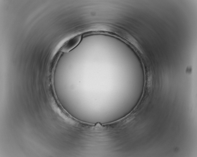 X0000113121116200908281036