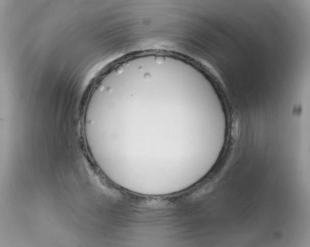 X0000113121117200908281036