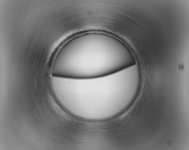 X0000113121118200908281036