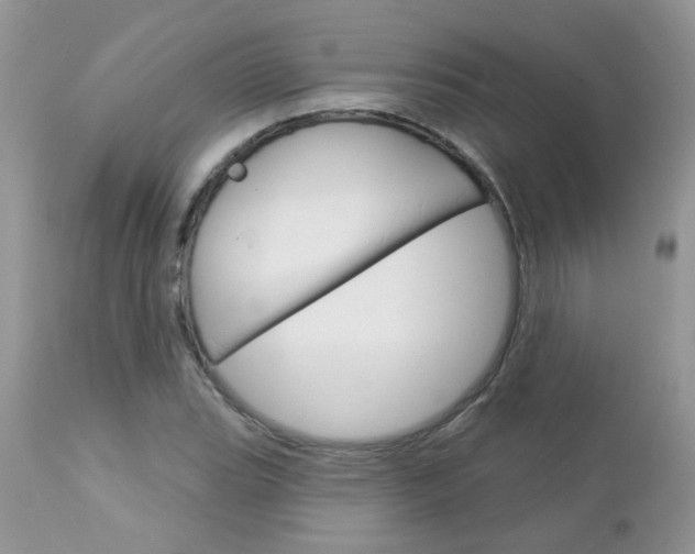 X0000113121119200908281036