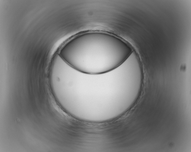 X0000113121120200908281036