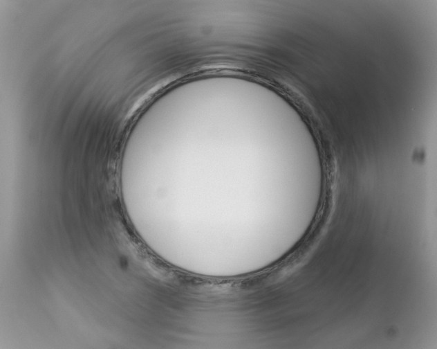 X0000113121121200908281036