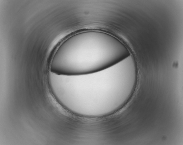X0000113121122200908281036