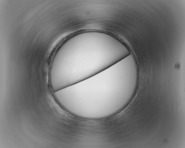 X0000113121123200908281036