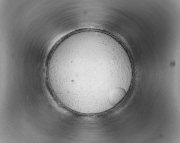 X0000113121125200908281036