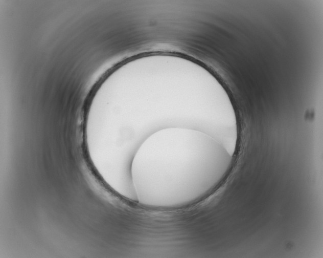 X0000113121126200908281036