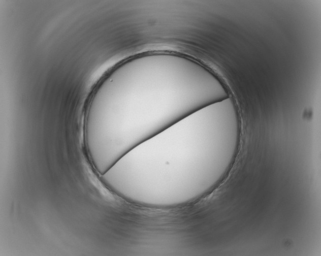 X0000113121127200908281036