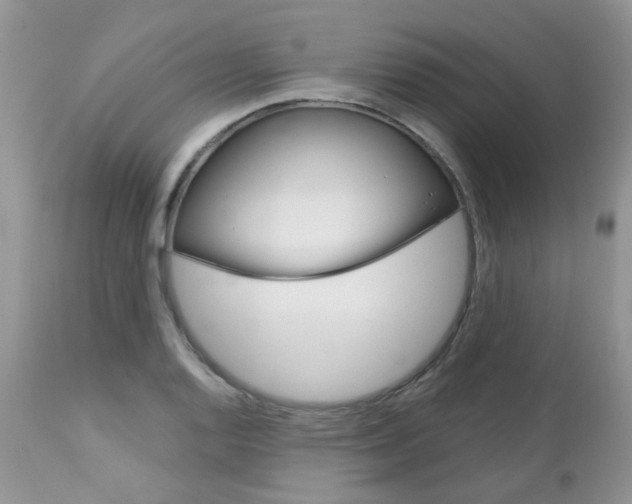 X0000113121128200908281036