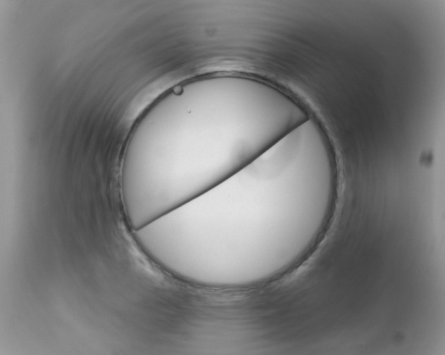 X0000113121129200908281036