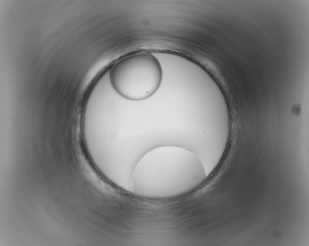 X0000113121130200908281036