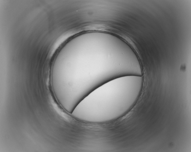 X0000113121131200908281036