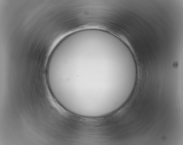 X0000113121132200908281036