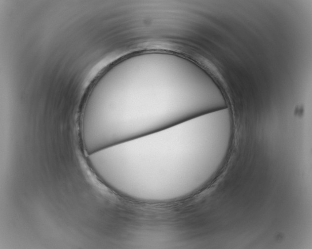X0000113121133200908281036