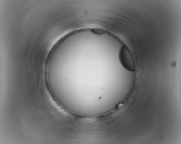 X0000113121134200908281036