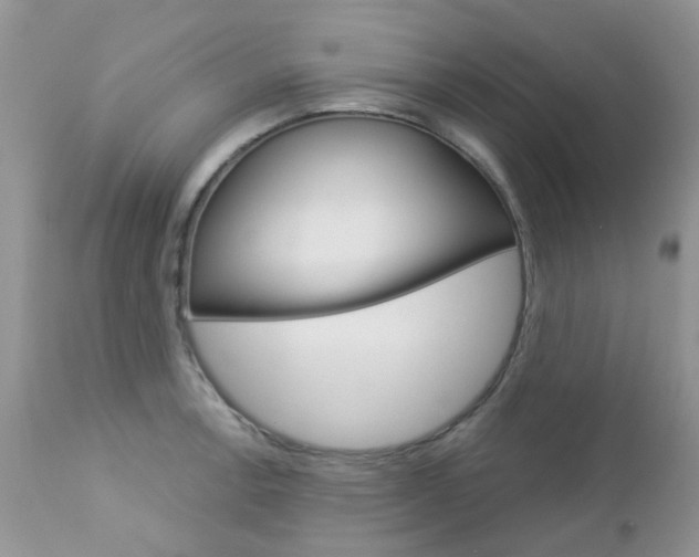 X0000113121138200908281036