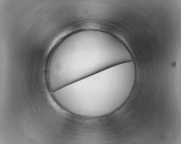 X0000113121139200908281036