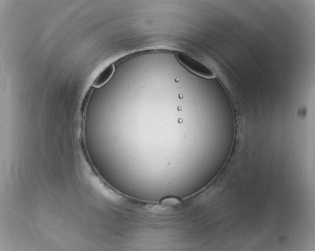 X0000113121140200908281036