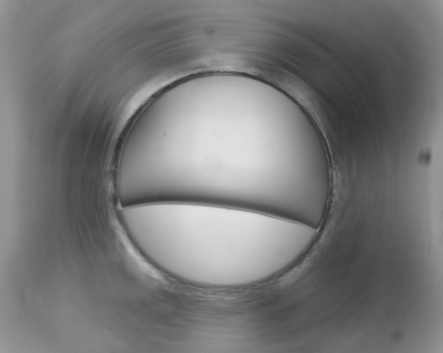 X0000113121141200908281036