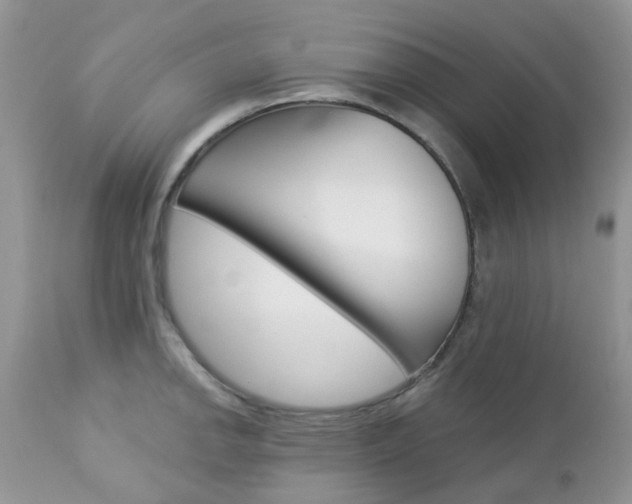 X0000113121142200908281036