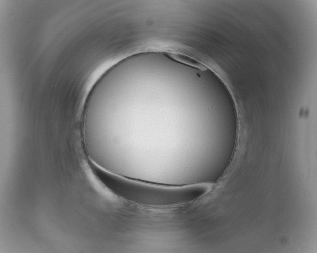 X0000113121152200908281036