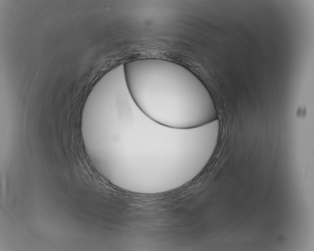 X0000113121153200908281036