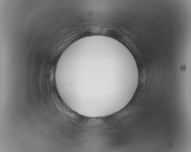 X0000113121154200908281035