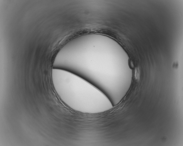 X0000113121155200908281035