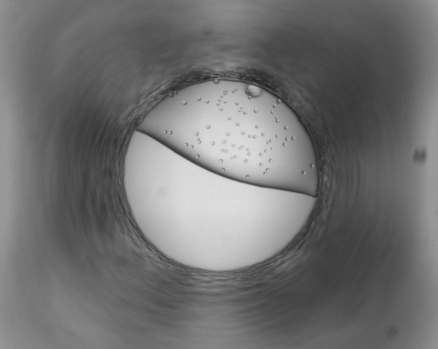 X0000113121156200908281035
