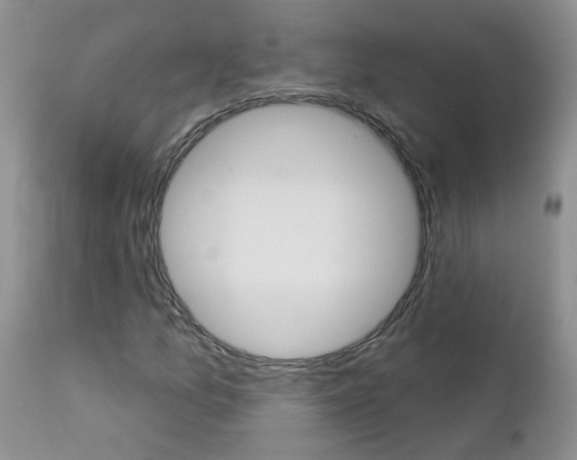 X0000113121157200908281035