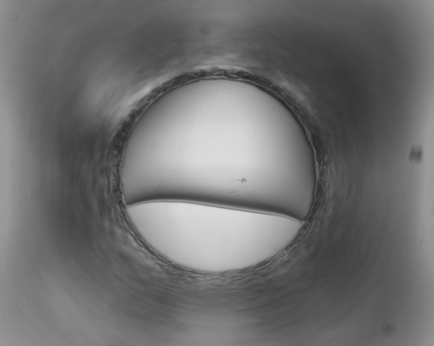 X0000113121159200908281035