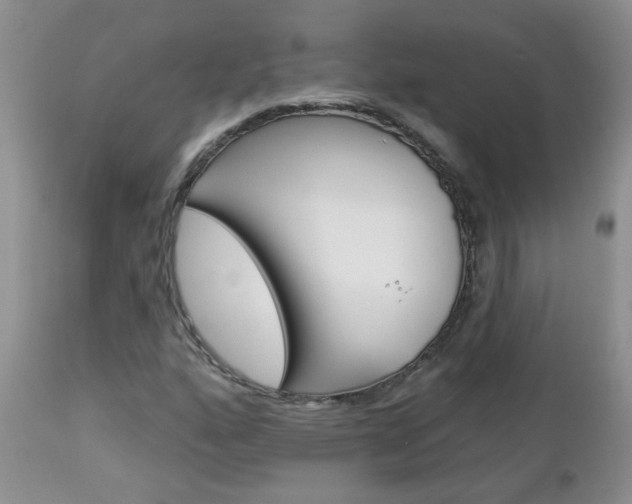 X0000113121160200908281035