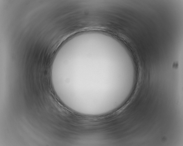X0000113121161200908281035