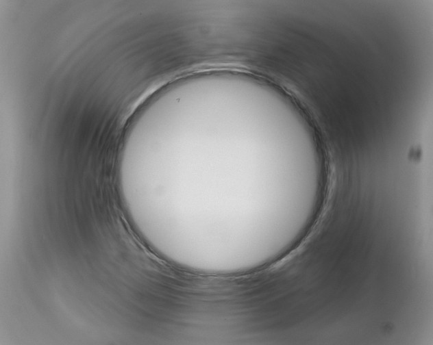 X0000113121162200908281035