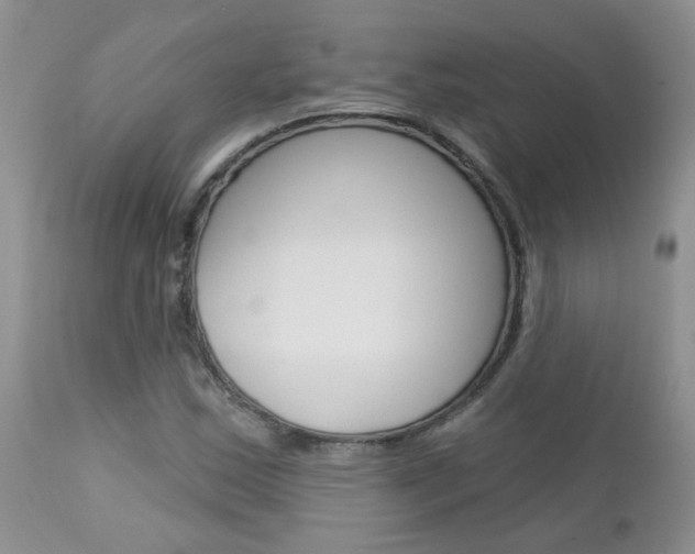 X0000113121163200908281035