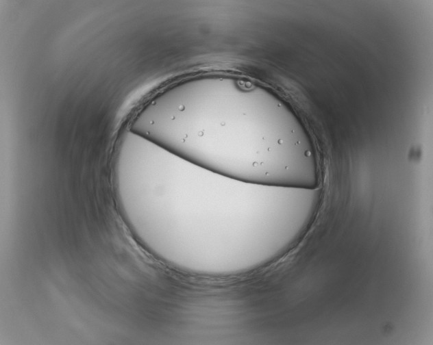 X0000113121164200908281035